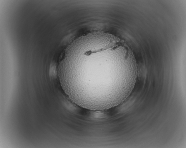 X0000114220287200910161314