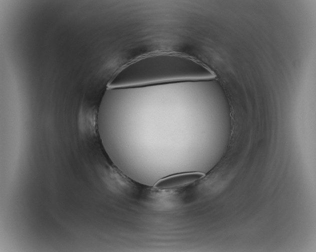 X0000114220288200910161314