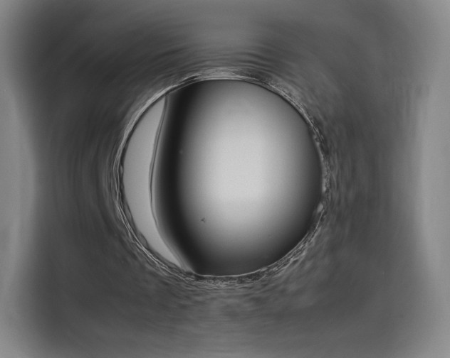 X0000114220289200910161313