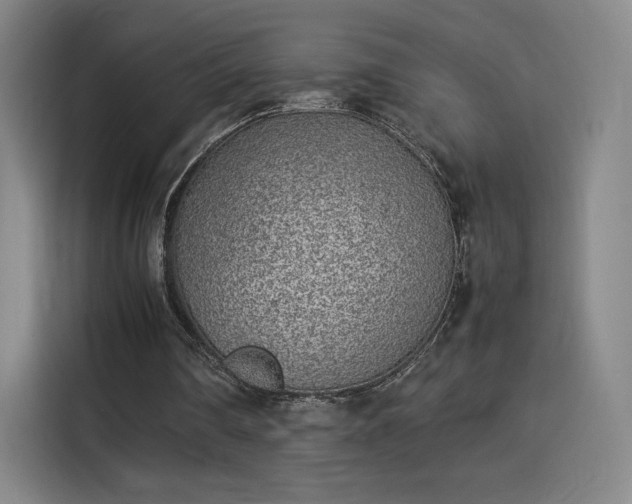 X0000114220290200910161313