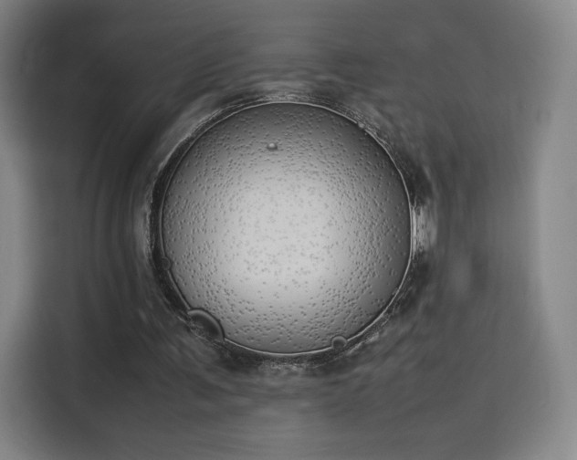 X0000114220291200910161313