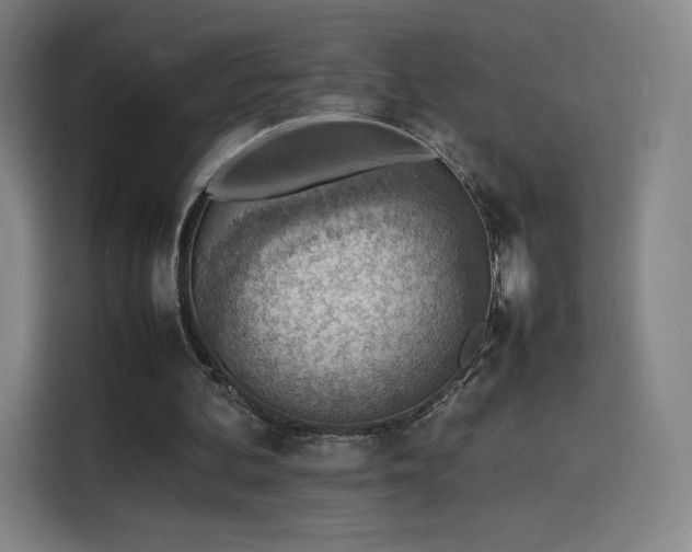 X0000114220292200910161313