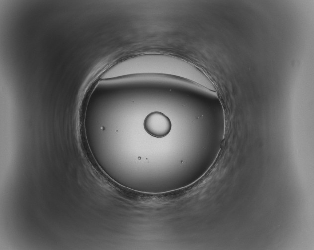 X0000114220293200910161313