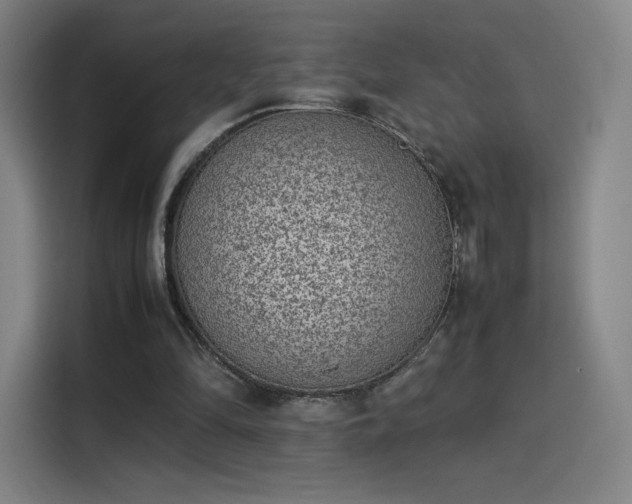 X0000114220294200910161313