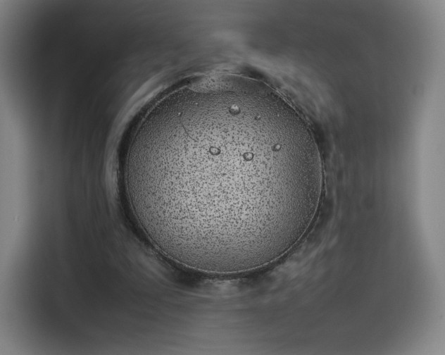 X0000114220295200910161313