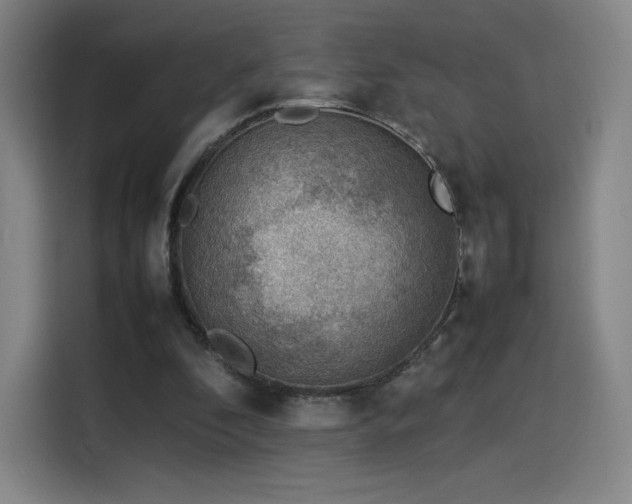 X0000114220296200910161313