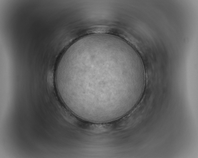 X0000114220297200910161313