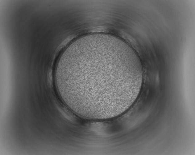 X0000114220298200910161313