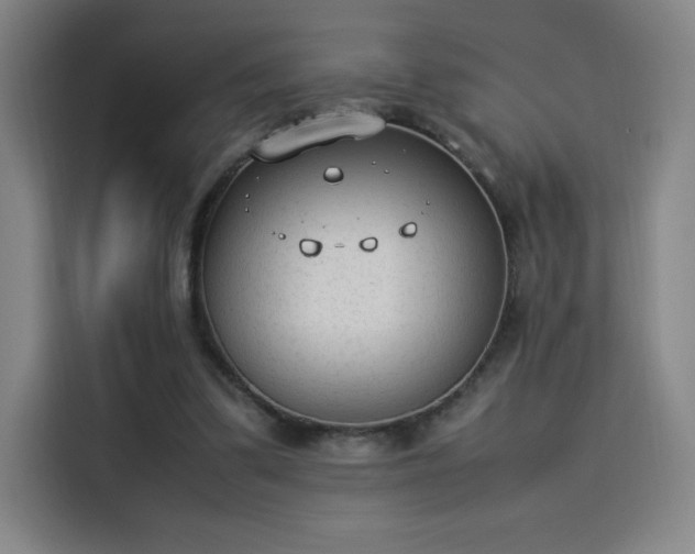 X0000114220299200910161313