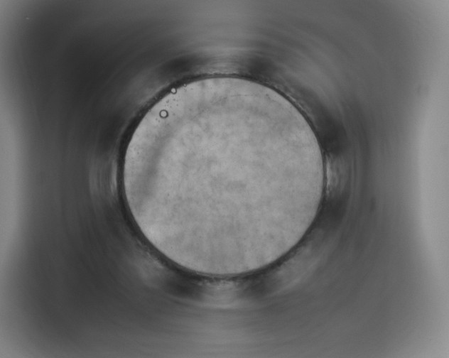 X0000114220301200910161313