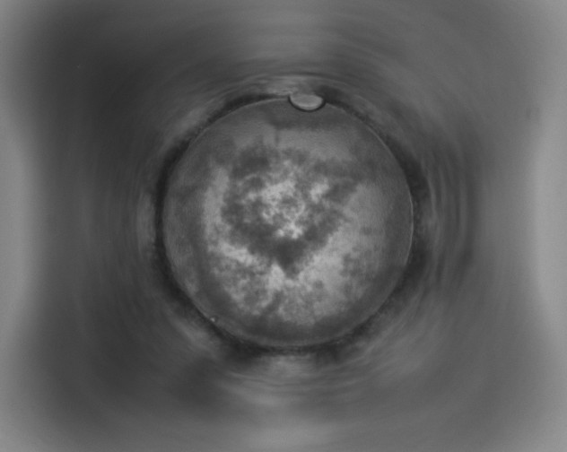 X0000114220303200910161313