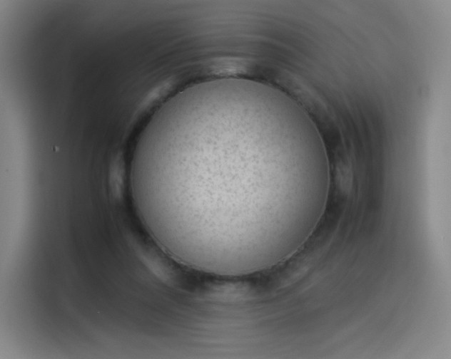 X0000114220304200910161313