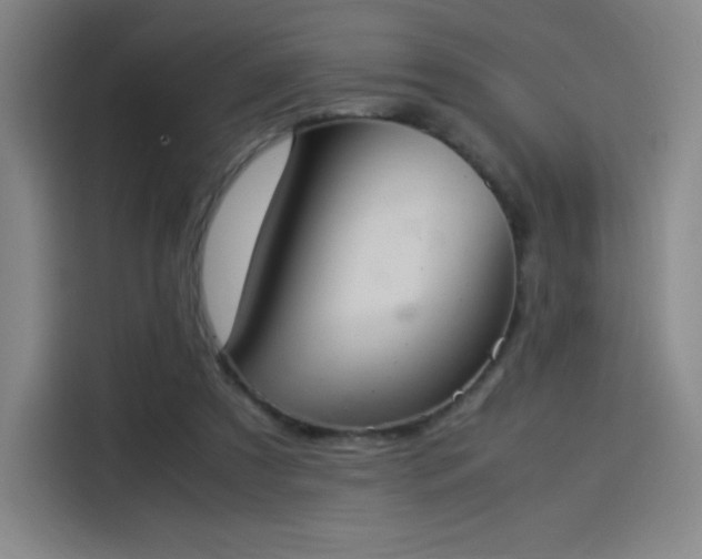 X0000114220305200910161313