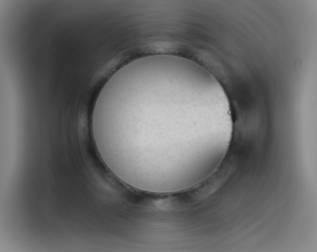 X0000114220306200910161313