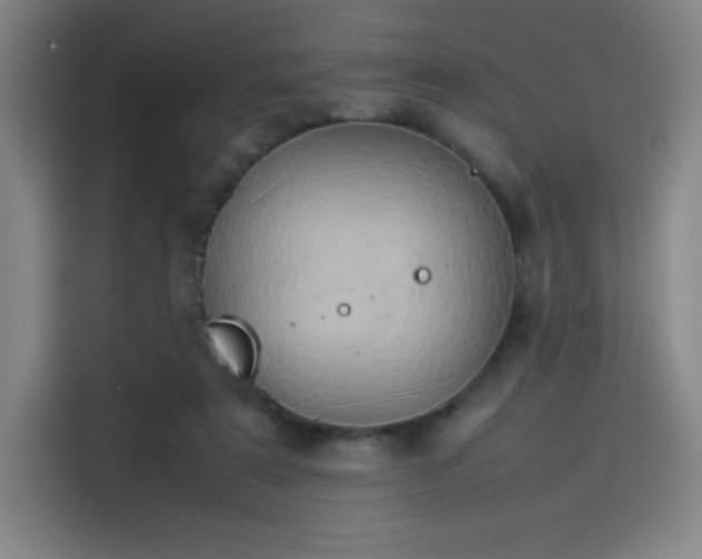 X0000114220307200910161313