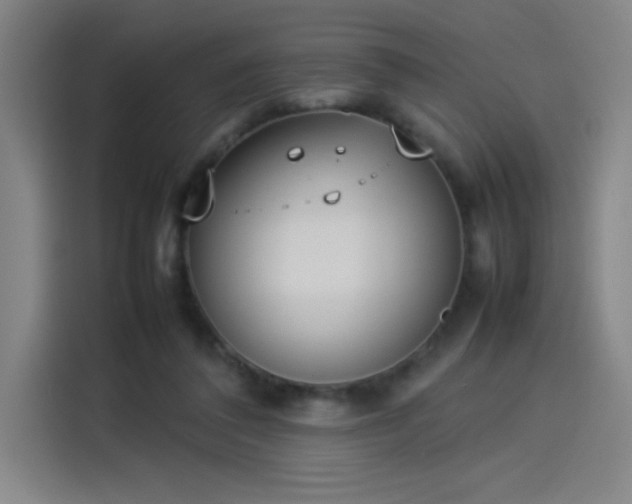 X0000114220308200910161313