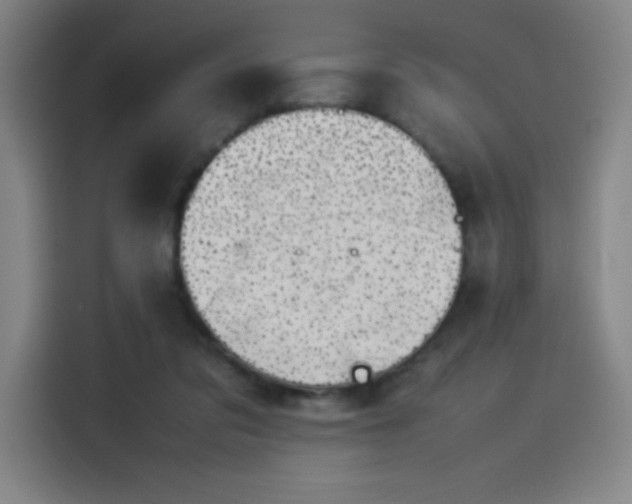 X0000114220309200910161313