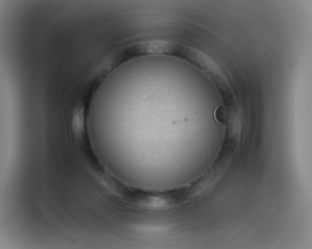 X0000114220310200910161313