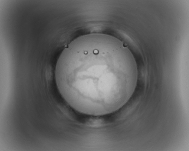 X0000114220311200910161313