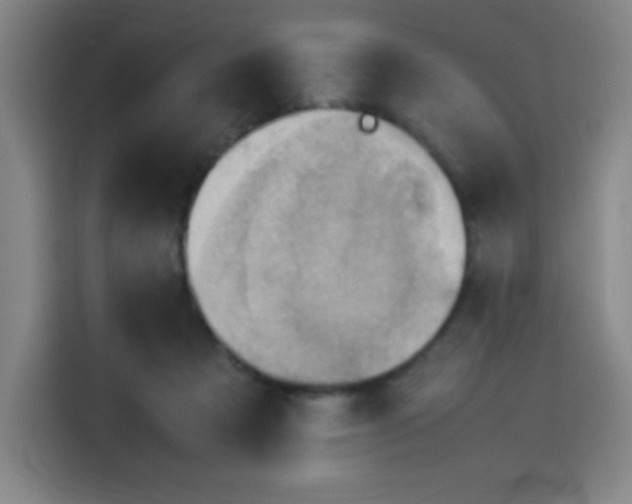 X0000114220313200910161313