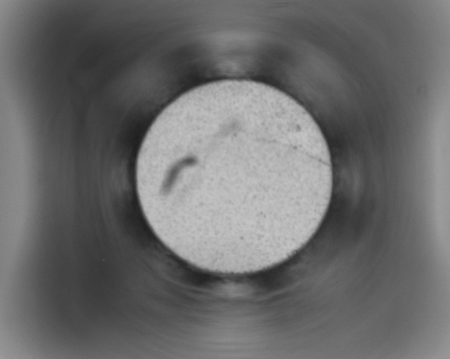 X0000114220317200910161313