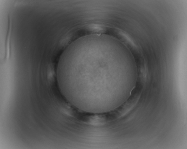 X0000114220320200910161313