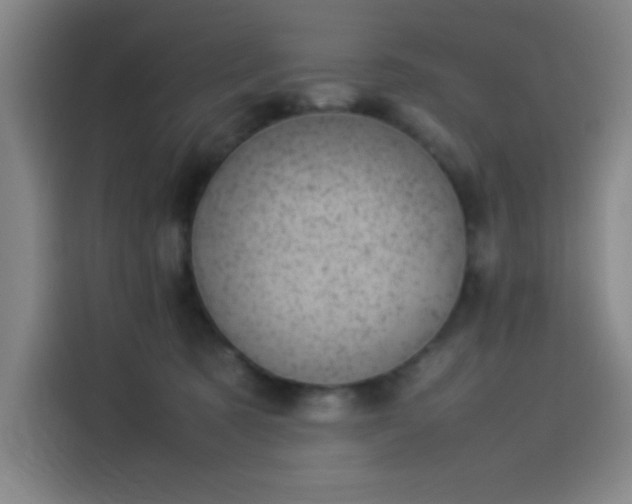 X0000114220321200910161313