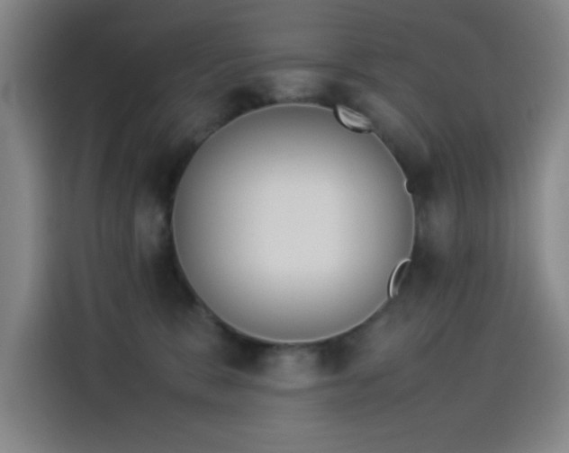 X0000114220327200910161312