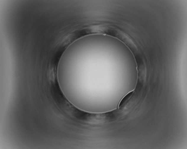 X0000114220329200910161312