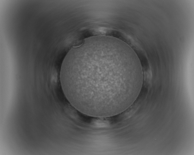 X0000114220331200910161312