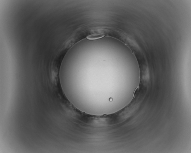 X0000114220332200910161312