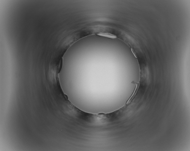 X0000114220333200910161312