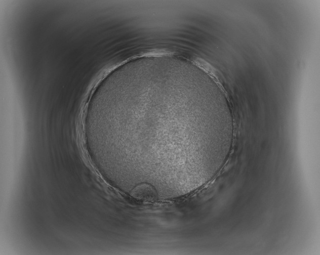 X0000114220337200910161312