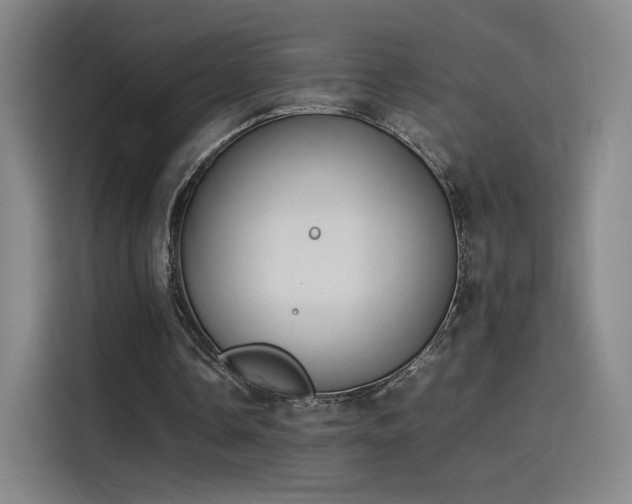 X0000114220338200910161312