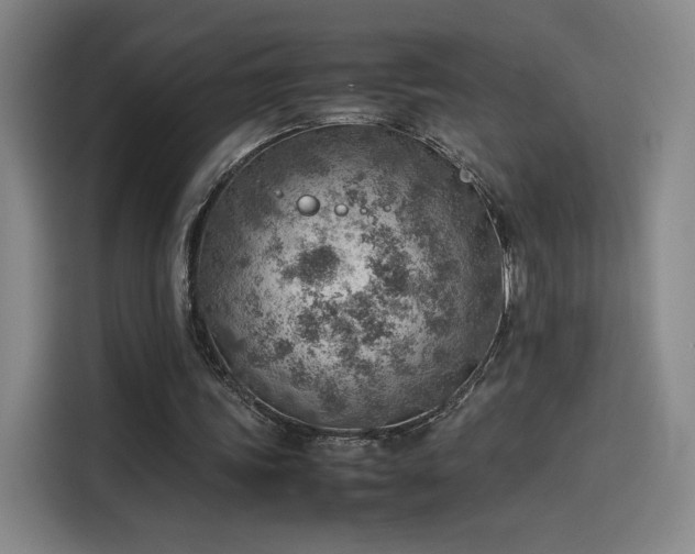 X0000114220339200910161312