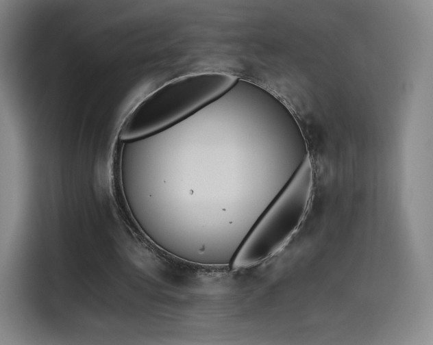 X0000114220340200910161312