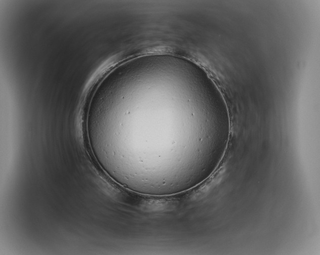 X0000114220341200910161312