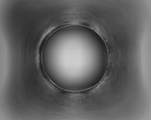 X0000114220342200910161312