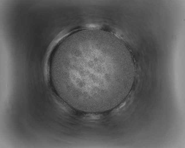 X0000114220343200910161312