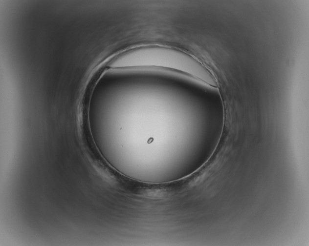 X0000114220344200910161312