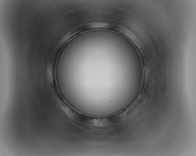 X0000114220345200910161312