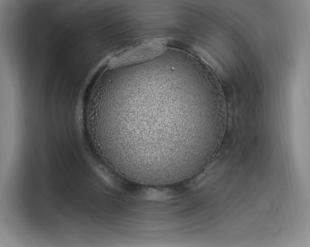 X0000114220346200910161312