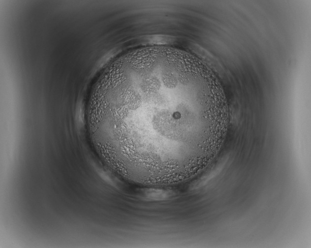 X0000114220347200910161312