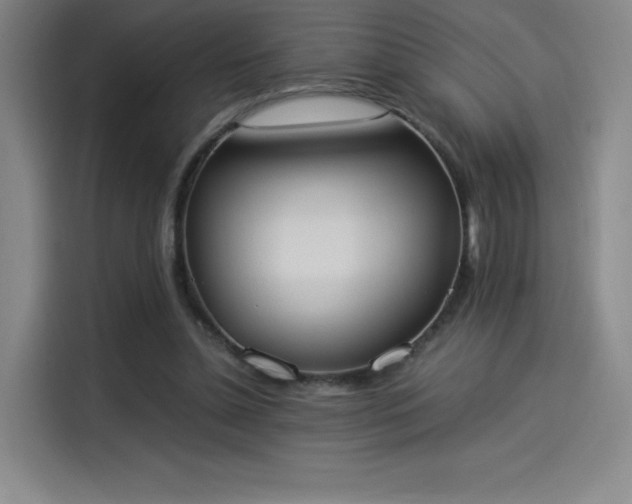 X0000114220348200910161312