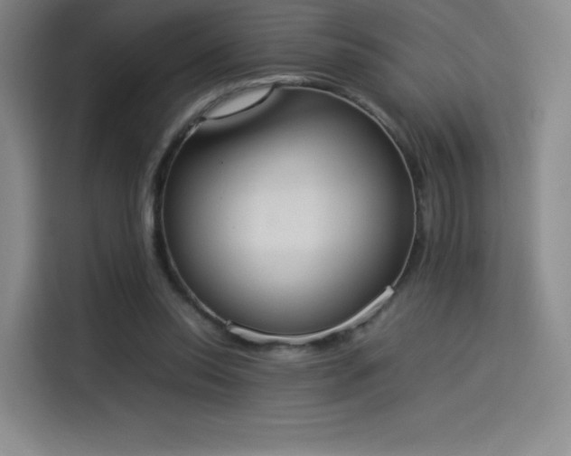 X0000114220350200910161312