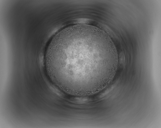 X0000114220351200910161312