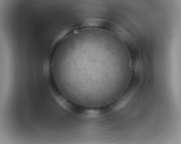 X0000114220352200910161312