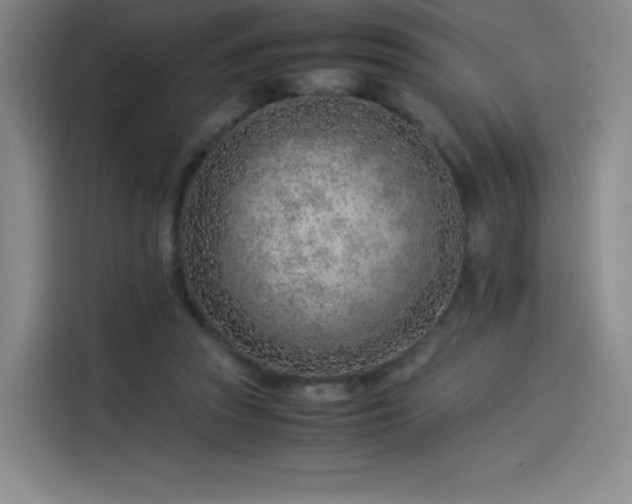 X0000114220353200910161312