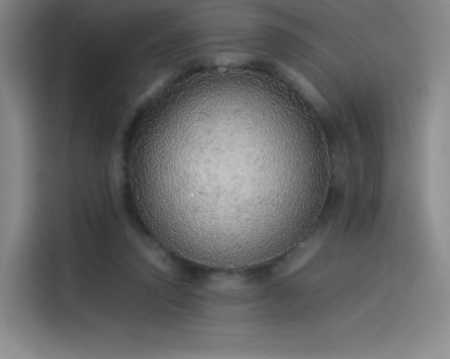 X0000114220354200910161312