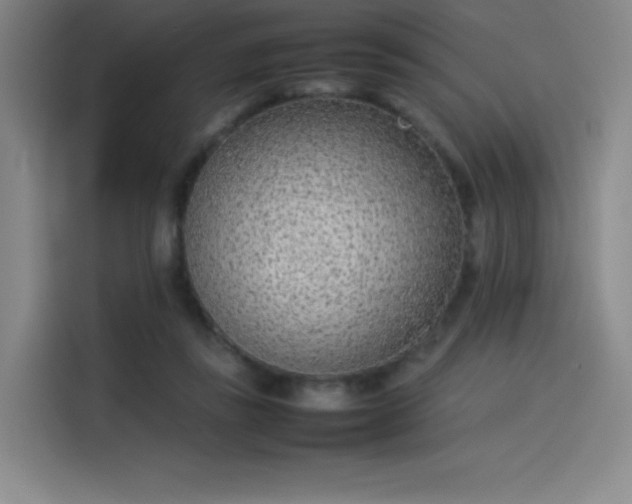 X0000114220355200910161312